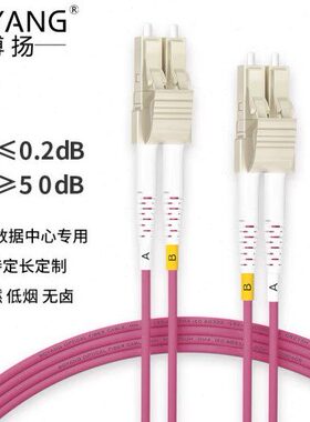 双（C/2米跳线LC125G）万兆多模光纤M4博扬（ OL50BOYAN尾纤 -芯