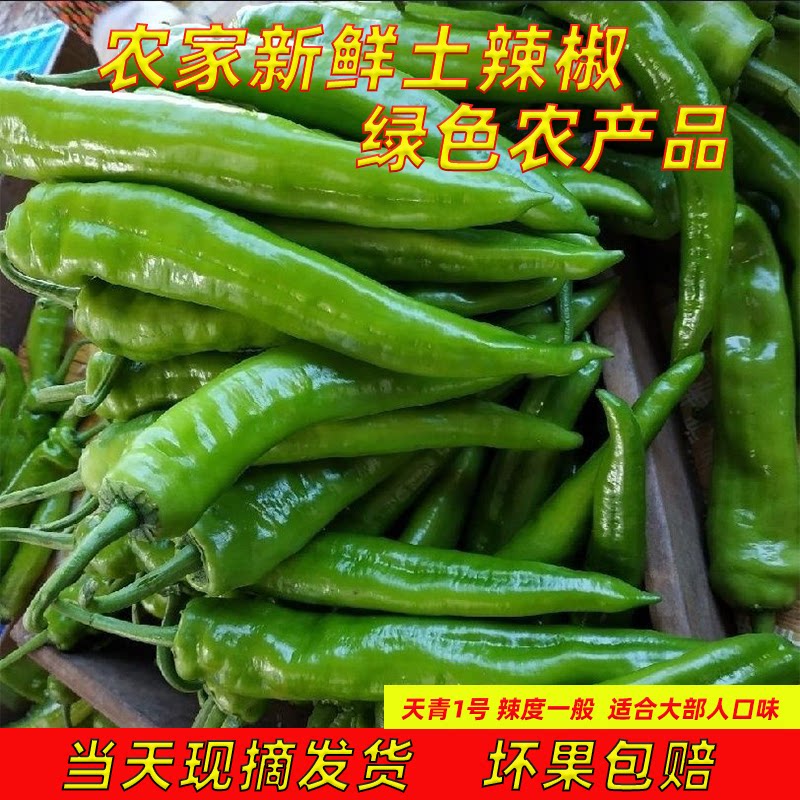 5斤新鲜辣椒新鲜青椒微辣中辣椒现摘现发