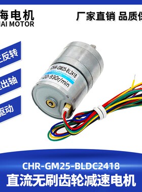 驰海厂家直销GM25-BL2418直流无刷减速电机智能感应皂液器马达24V