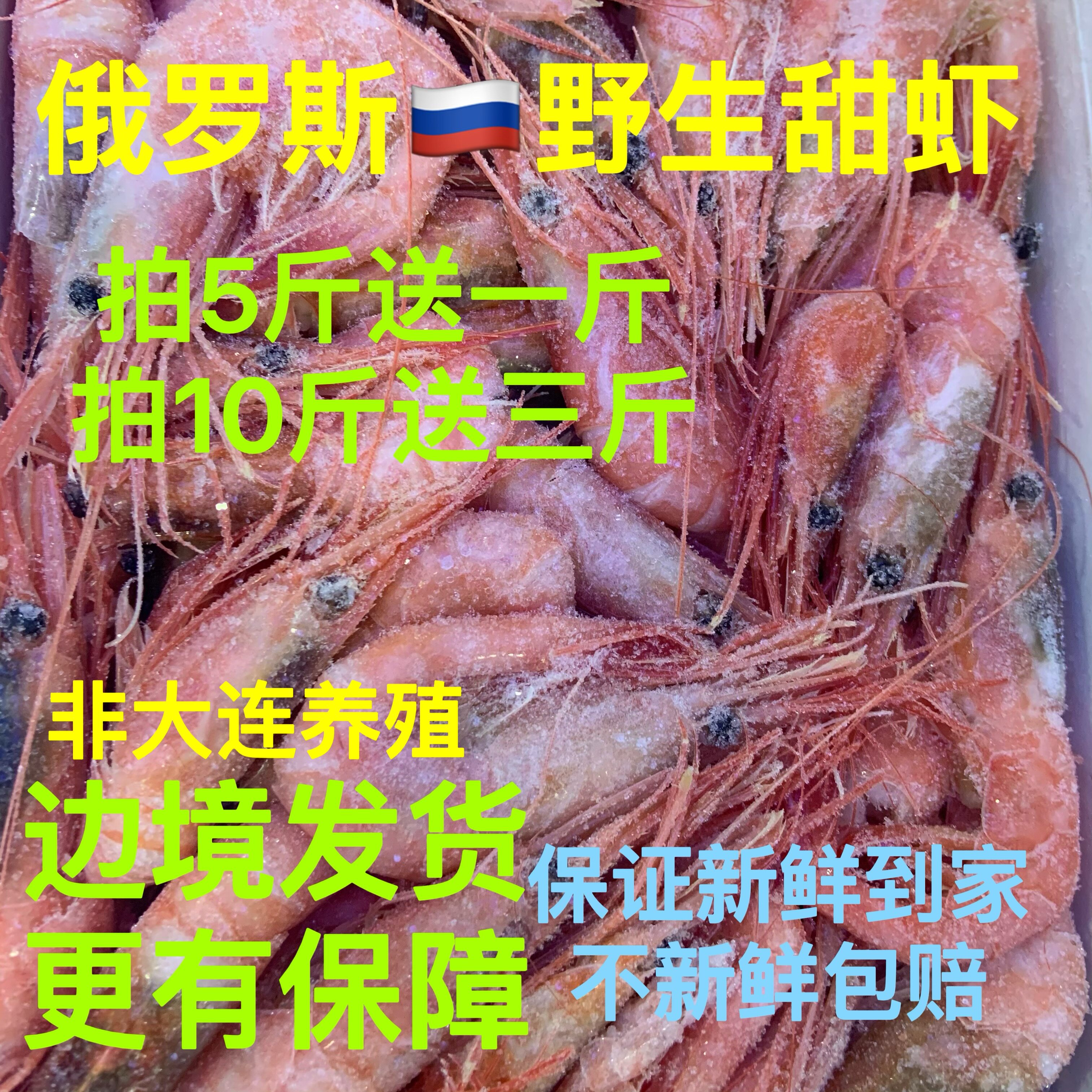 俄罗斯冰山甜虾北极红虾格陵兰马加丹牡丹(俄罗斯野生)寿司店刺身