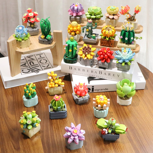 礼物费米小颗粒治愈多肉积木盆栽