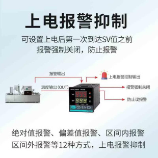 RC10A智I28 RC010能温控器 RC10AI28 TOKY东崎AI208