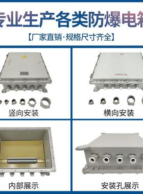 订做防爆控制箱50l0600防爆配电箱 防爆接线箱防爆电器空箱仪表箱