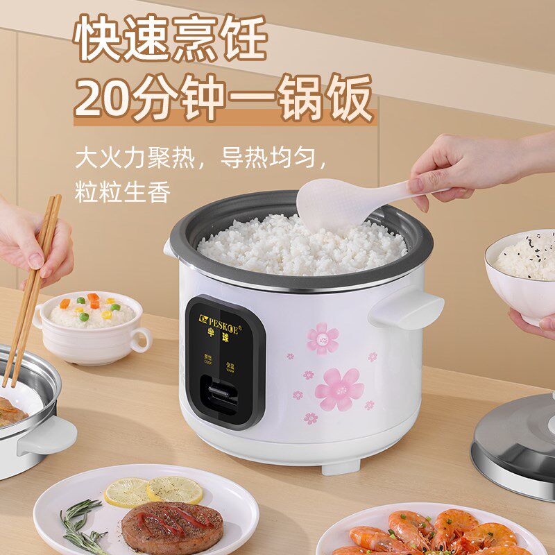 电饭煲家用2-4人老式迷你小型3L多功能电饭锅大容量5升蒸煮6