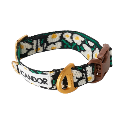 iCANDOR霓彩狗狗双环项圈