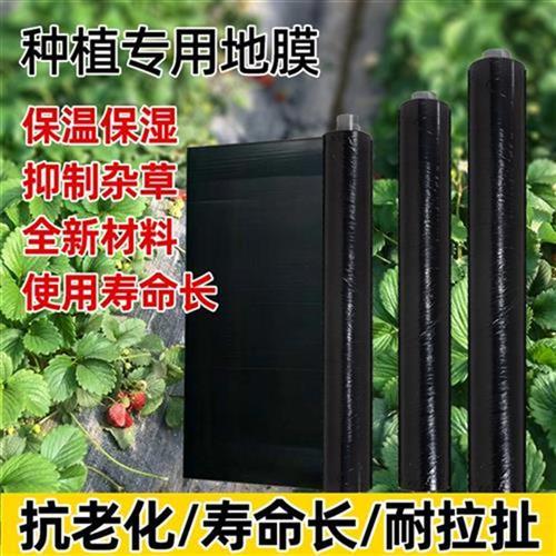 黑地膜保护膜农用果树农用膜果园塑料膜除草保温大棚膜双色