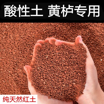 黄栌专用土酸性沙质红土盆栽x土种植土天然红土盆景土风化土营养
