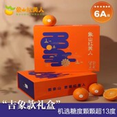 正宗象山红美人柑橘高端礼盒8 12粒随机限量黄金果糖度12