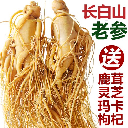 人参泡酒中药材长白山人参