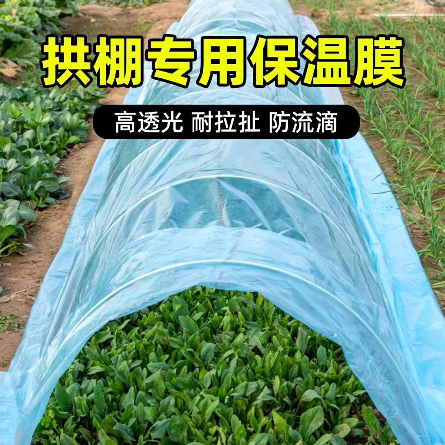 农用小拱棚膜防寒保温抗老化
