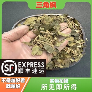三角枫中药材店铺中草药大全别名：三角枫 三角槭 三角风 爬山虎