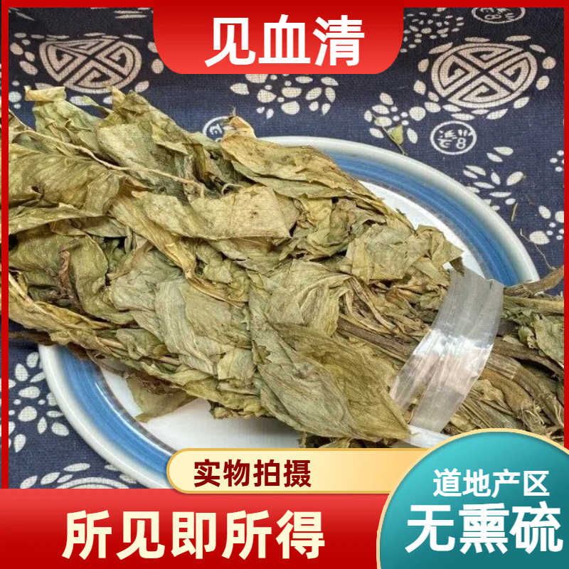 见血清中药材店铺中草药大全别名：见血莲、矮胖儿、肉螃蟹、