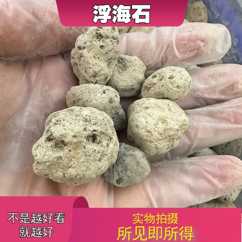 海浮石中药材店铺中草药大全