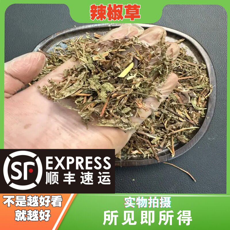 辣椒草中药材店铺中草药大全别名：救必应、四季青