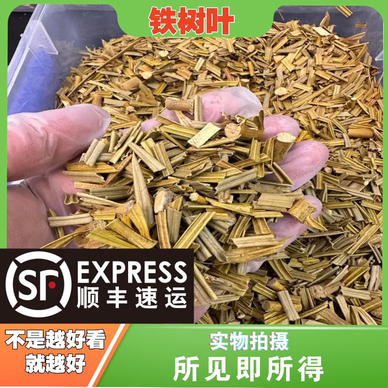 铁树叶中药材店铺中草药大全别名:苏铁叶,番蕉叶,龙骨风