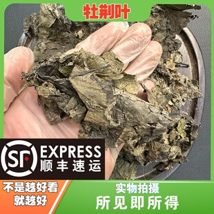 牡荆叶中药材店铺中草药大全别名:午时草、土常山、五指柑