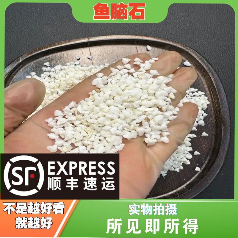 鱼脑石中药材店铺中草药大全别名：鱼首石、鱼枕骨、石首鱼头石、