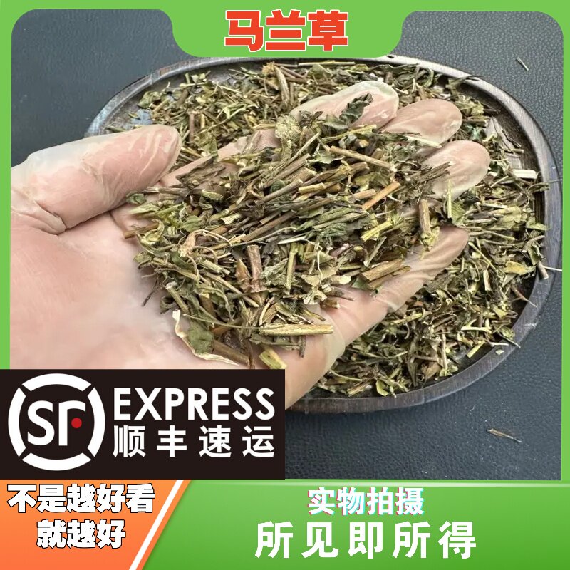 马兰草中药材店铺中草药大全别名：鱼鳅串，泥鳅串，鱼秋串，