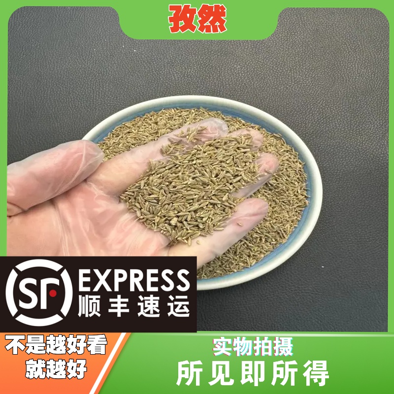 孜然中药材成都中药材批发