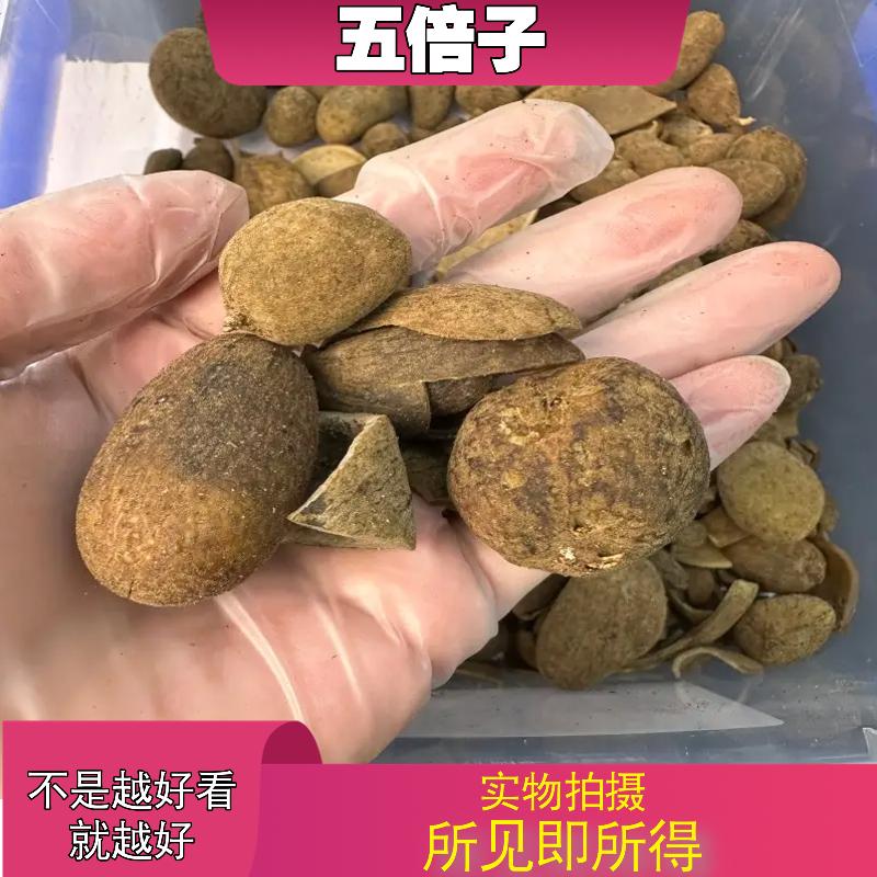 五倍子中药材店铺中草药大全别名：五倍子粉五贝子百虫仓肚倍