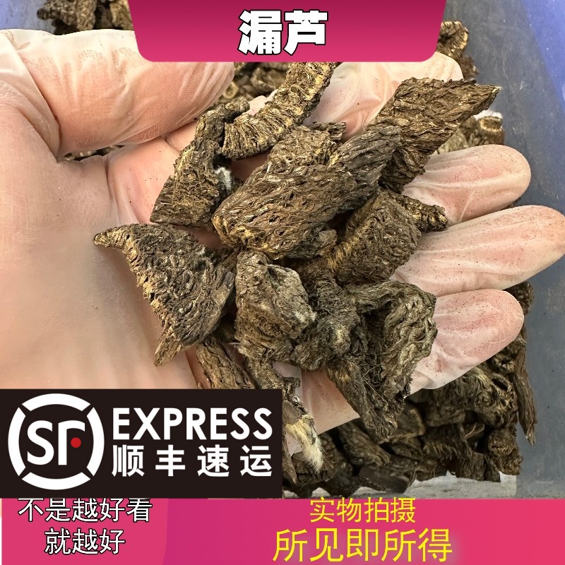 漏芦中药材店铺中草药大全