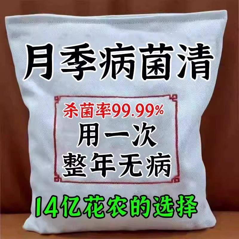 月季花病害专用黄叶黑斑枯枝病白粉病掉花苞药月季玫瑰花卉绿促长图片
