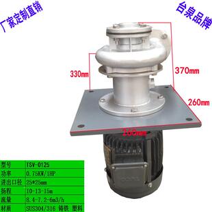 电机 水泵W厂家电喷泳漆液下CBE循环水泵TSV 750东元 DN25