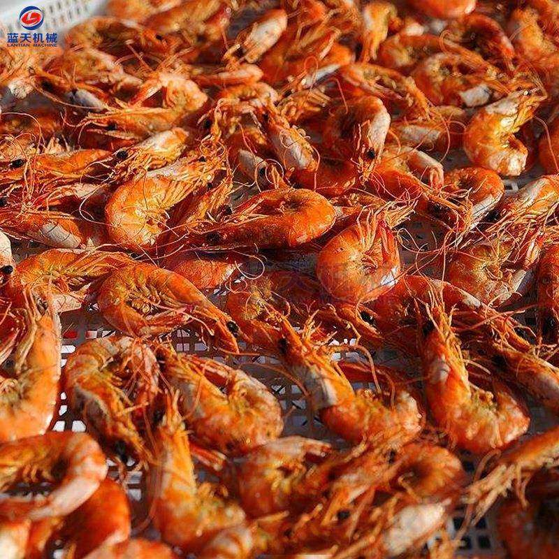 大虾烘机 虾ZTR小仁干龙虾鱼虾烘烤机 全自动对虾设海鲜烘干房备,机械设备,干燥机/干燥箱/烘干机,淘宝优惠券,粉丝福利购,淘宝优惠卷