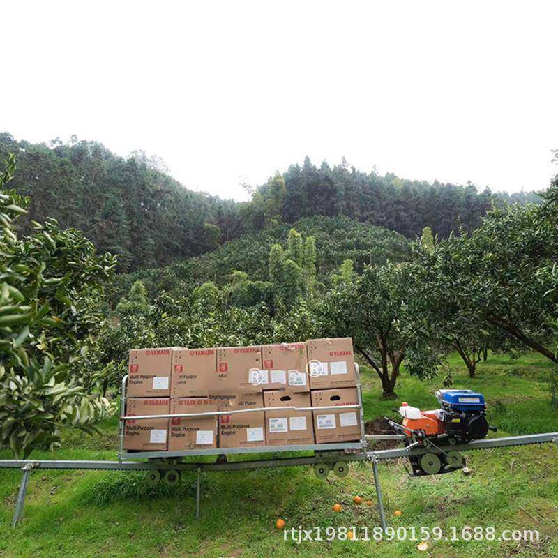 山地单轨运输车 电物自走式定制大棚园货搬运果园轨道运茶输动车