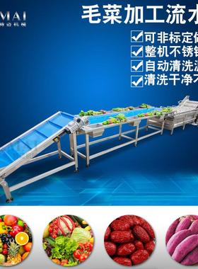 定制中材药高压参TM-4200喷清洗机 全 自动人去杂清淋洗机药材清