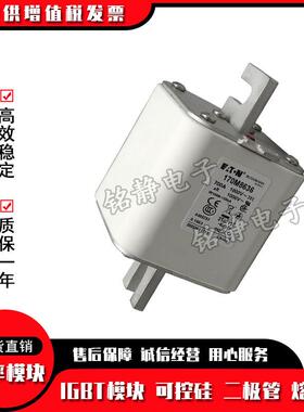 170M8623170M8624170M8625170M8626巴斯曼熔断器现货170M8627