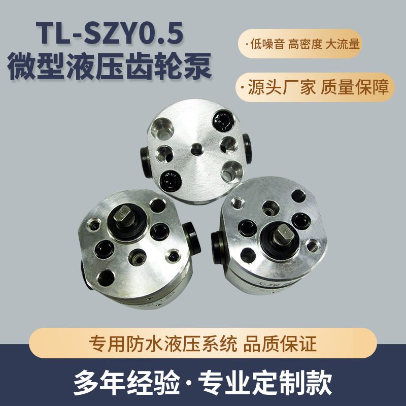 TL-SZY0.5微型液压齿轮泵微型高压齿轮泵微型双向高压齿轮泵