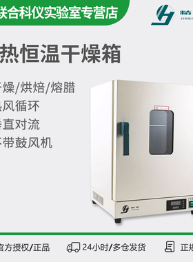 上海精宏电热干燥箱DHG-9011A9031A自然对流实验室烘箱9037A