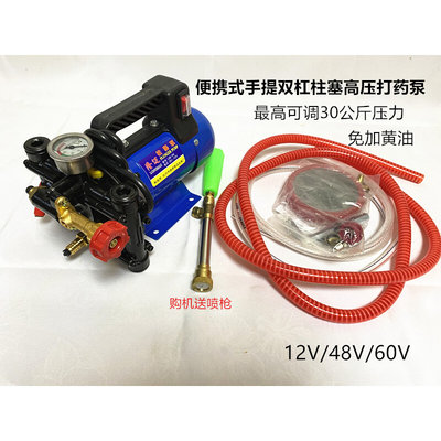 农用12V24V48V60V220伏双缸高压柱塞泵电动水泵打药消毒喷雾直