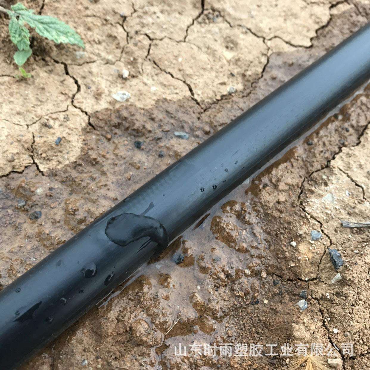 內镶贴片式滴灌带 16mm内镶贴片式单双孔滴灌 孔距多样节水灌溉滴