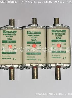 NH1AM50V125 E232511 熔断器 125A、NH1、aM、500Vac、电动保护用