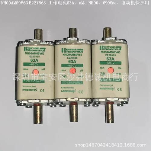 NH1AM50V125 E232511 熔断器 125A、NH1、aM、500Vac、电动保护用