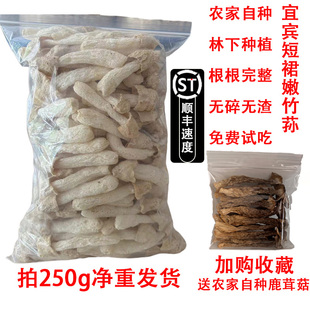 四川宜宾特产250g净重短裙竹荪精选煲汤食材竹海竹荪