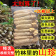 四川宜宾短裙竹荪嫩竹荪干货无硫熏根根完整50g