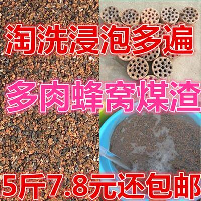 蜂窝煤渣去硫多肉兰花营养土煤炭渣防板结透气淘洗浸泡干净
