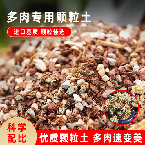 多肉颗粒土专用营养土