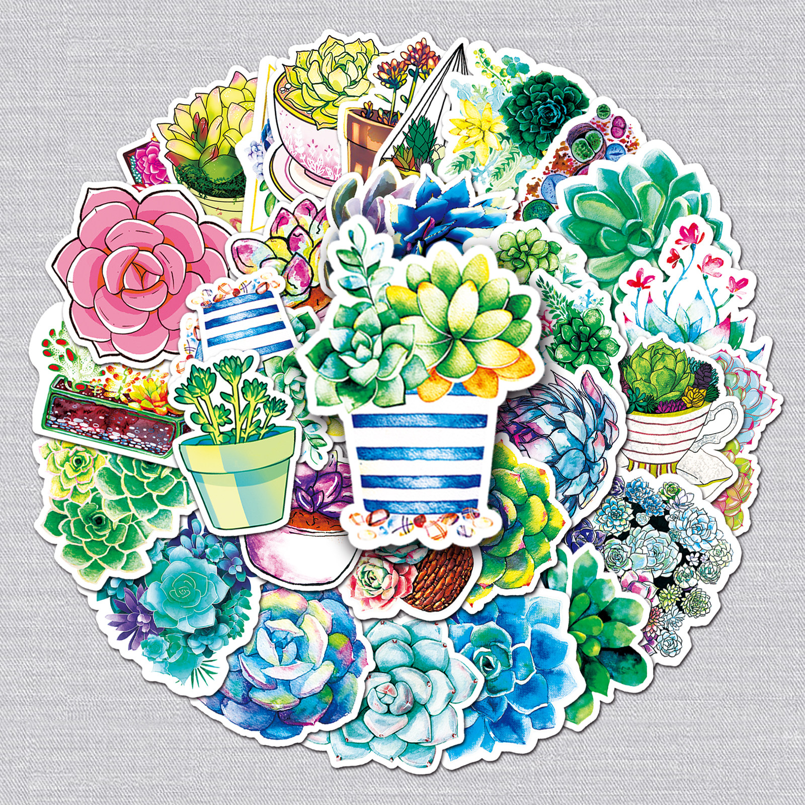 50张多肉仙人掌贴纸绿色植物花卉素材装饰手机滑板吉他行李箱贴纸
