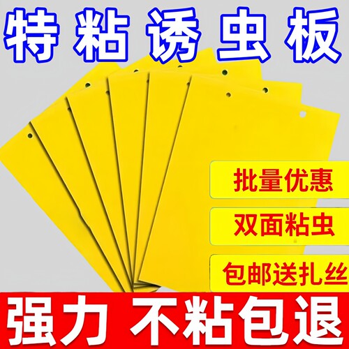 黄板双面粘虫板诱虫板