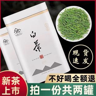 125克 正宗高山白茶2023新茶绿茶明前嫩芽珍稀白茶罐装 礼盒装