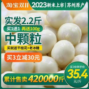 十善村鸡头米新鲜2023苏州芡实鸡米头非手剥干货 加赠100g