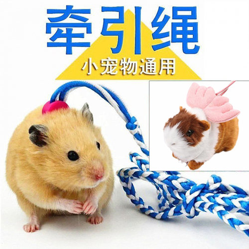 溜鼠绳金丝熊仓鼠牵引绳外出用品