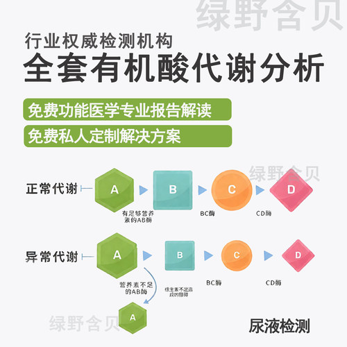 全套有机酸代谢检测/包解读/有机酸检测尿有机酸功能医学洛奇华测