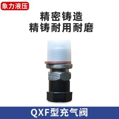 N气XQ液压蓄能无品牌/器机充阀 剪板折氮单向阀 QXF气-5补气阀气