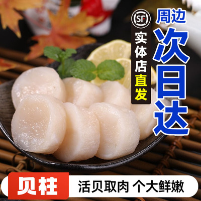 明星也在吃！高端帆立贝柱！
