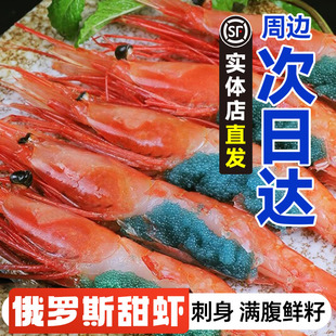【实体店直发】俄罗斯冰山甜虾刺身北极即食进口腹籽寿司生吃蓝la